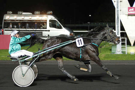 Actualités Hippiques